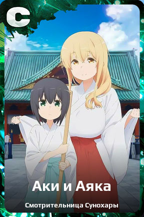 Карточка персонажа Аки и Аяка