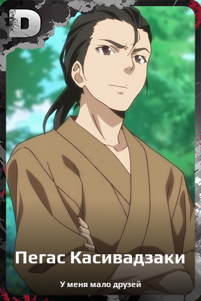 Карточка персонажа Пегас Касивадзаки