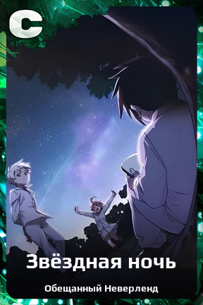 Карточка персонажа Звёздная ночь