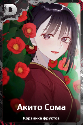 Карточка персонажа Акито Сома