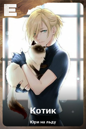 Карточка персонажа Котик