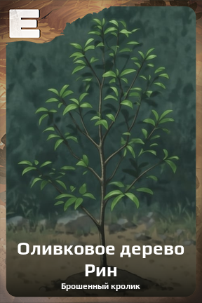 Карточка персонажа Оливковое дерево Рин