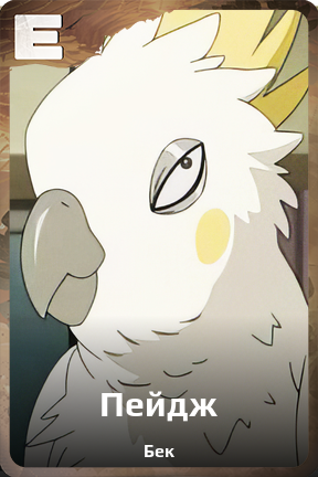 Карточка персонажа Пейдж