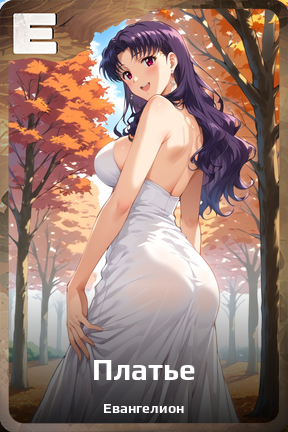 Карточка персонажа Платье