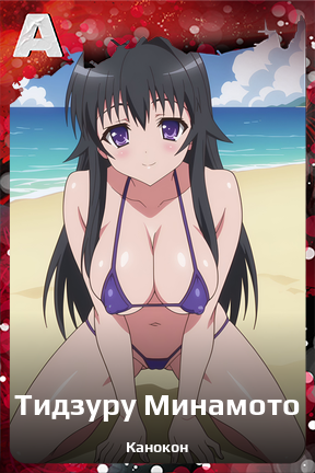 Карточка персонажа Тидзуру Минамото