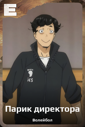 Карточка персонажа Парик директора