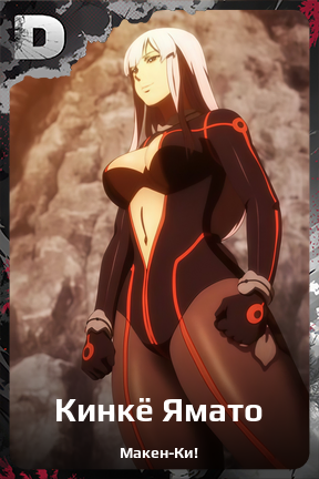 Карточка персонажа Кинкё Ямато