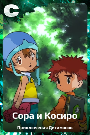 Карточка персонажа Сора и Косиро