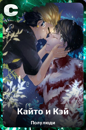 Карточка персонажа Кайто и Кэй
