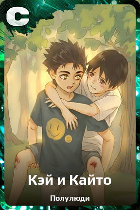 Карточка персонажа Кэй и Кайто