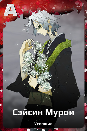 Карточка персонажа Сэйсин Мурои