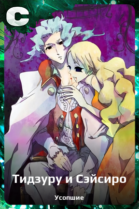 Карточка персонажа Тидзуру и Сэйсиро