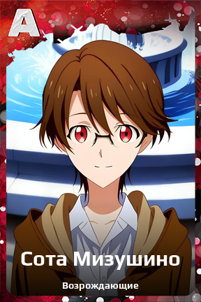 Карточка персонажа Сота Мизушино